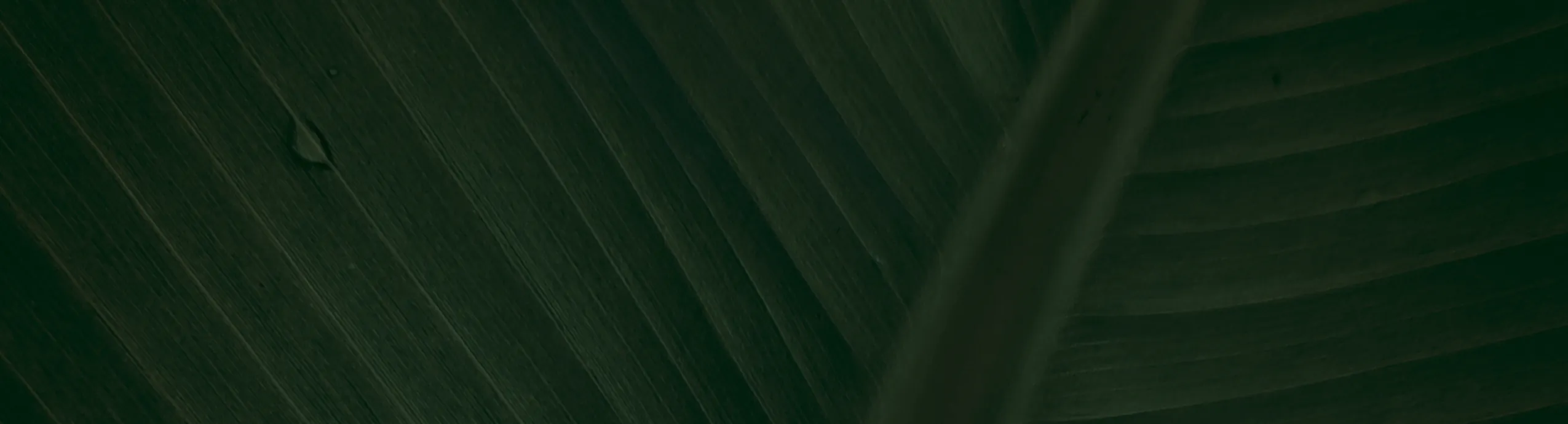 hero-image_optimized Aloe Vera Soap pack of 3